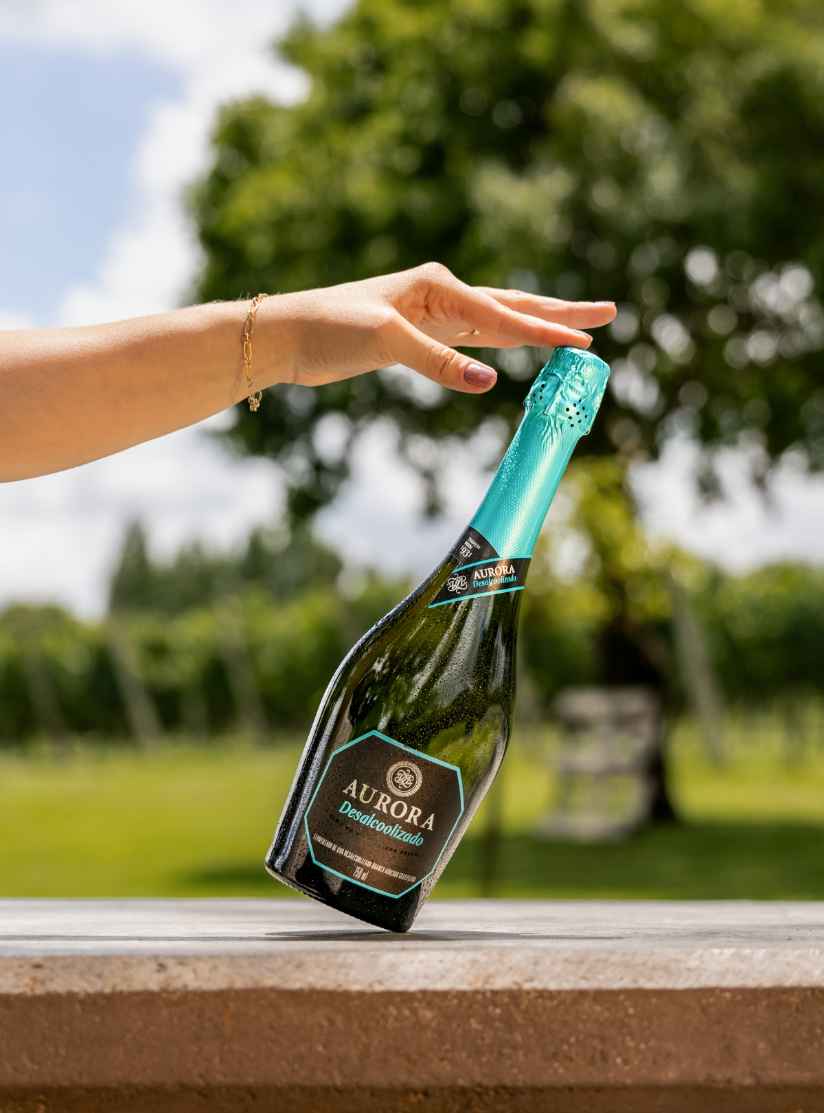 Aurora Desalcoolizado Adoçado