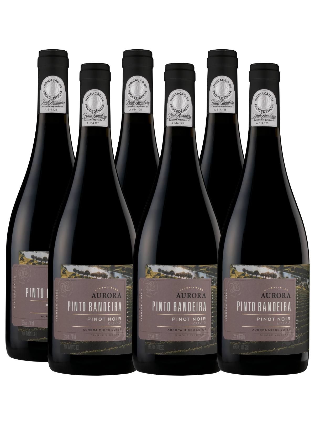 Kit Aurora Pinto Bandeira Pinot Noir - 6un