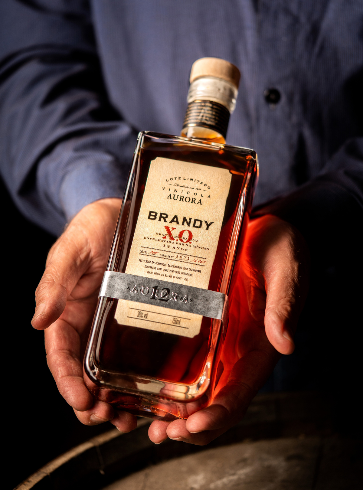 Brandy Aurora 12 anos