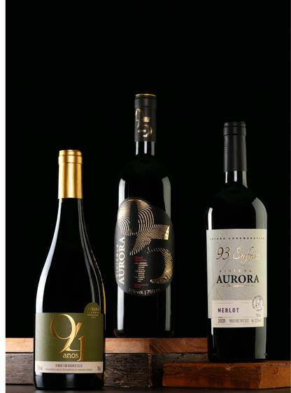 Kit Comemorativo Aurora 93, 94 e 95 Anos