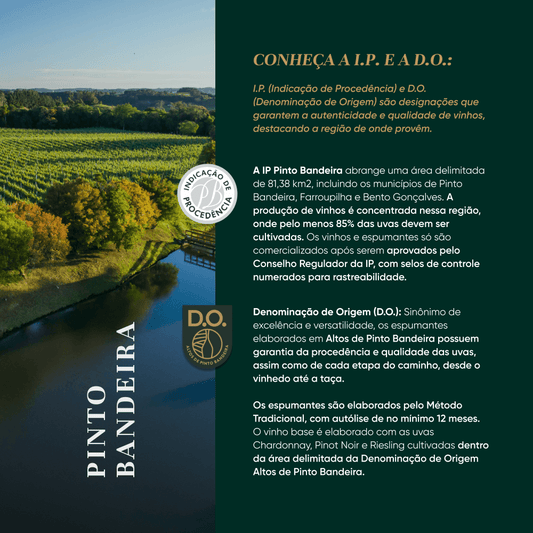 Banner-de-Vitrine-PB_Aurora