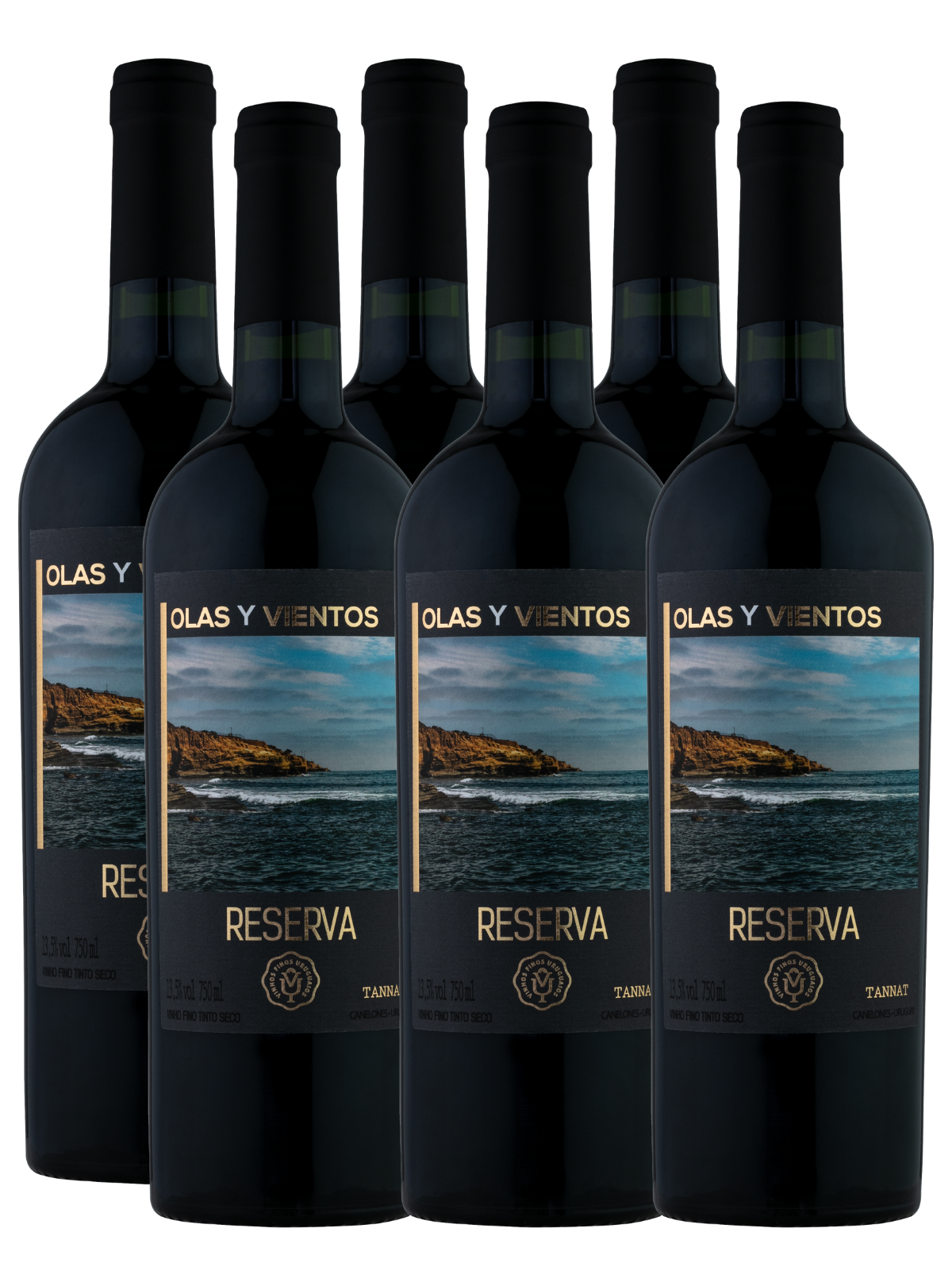 Olas Y Vientos Reserva Tannat - 6un