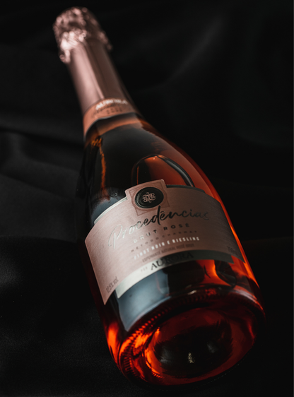 Espumante Aurora Procedências Brut Rosé