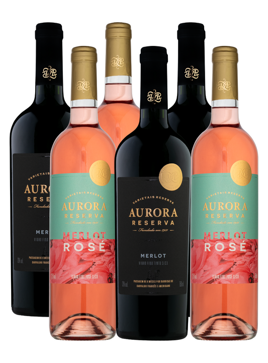 Box Reserva Merlot - 6un