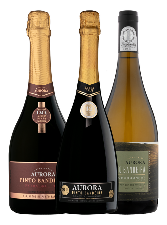 Kit Guia Descorchados 2025